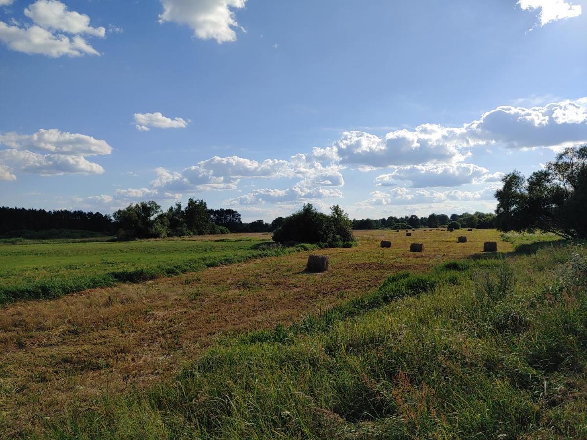 Masuria Warsaw Βίλα Skrzeszew Εξωτερικό φωτογραφία
