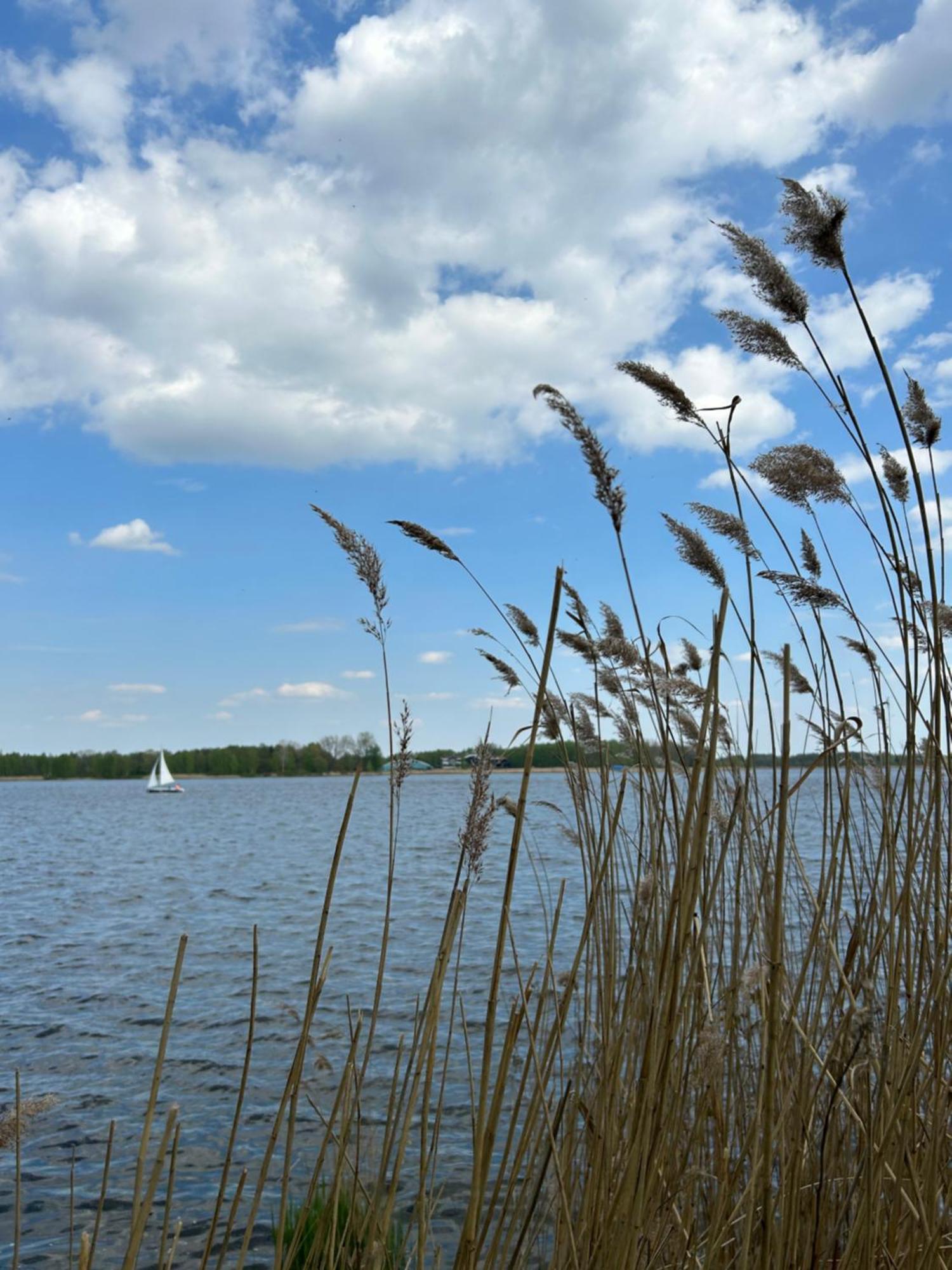 Masuria Warsaw Βίλα Skrzeszew Εξωτερικό φωτογραφία