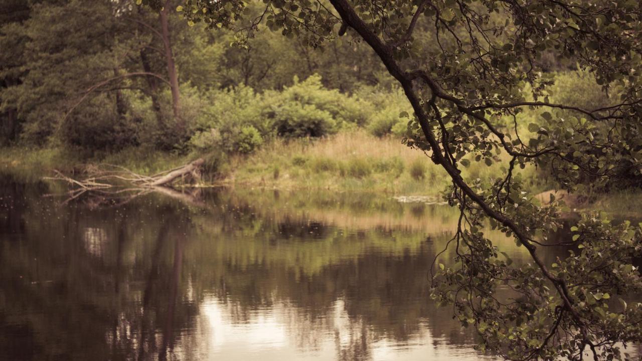 Masuria Warsaw Βίλα Skrzeszew Εξωτερικό φωτογραφία