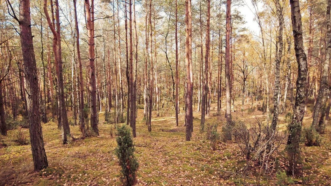 Masuria Warsaw Βίλα Skrzeszew Εξωτερικό φωτογραφία